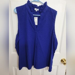 Blue sleeveless top